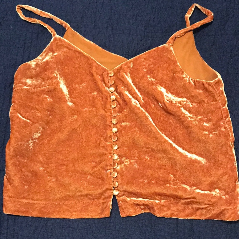 Madewell Velvet Tank Top in Burnt Orange